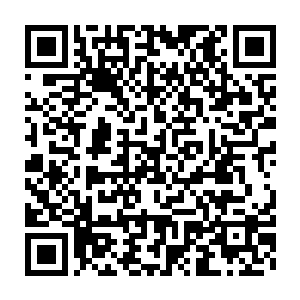 你的脑域世界也会慢慢变成一片死寂的沙漠――可我总觉得有些古怪二维码生成