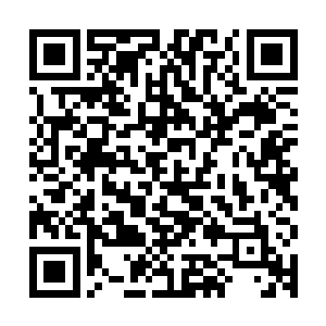 你的血液可以解开他舍身的毒素也具不是一件很难理解的事情了二维码生成