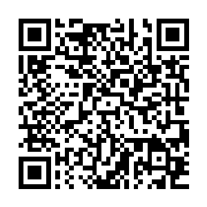 你的身体和你对创世神雷和灭世天火的掌握都会得到巨大的提升二维码生成