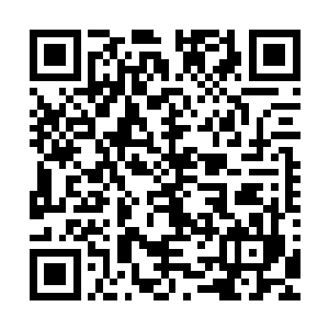 你看你看……说没有诱惑我……你现在的行为却已经出卖了你二维码生成