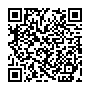 你看看现在到底有多少新闻媒体在宣传我们的新闻二维码生成