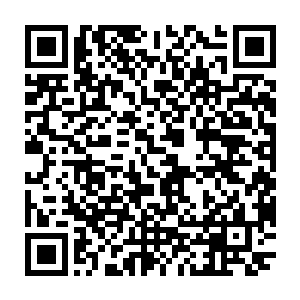 你真以为咱们龙皇神殿的神将多到可以让一个年轻的水神将在这里养老了么二维码生成