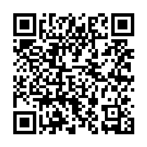 你真得很幼……哈……阿远……远宝宝……哈……二维码生成