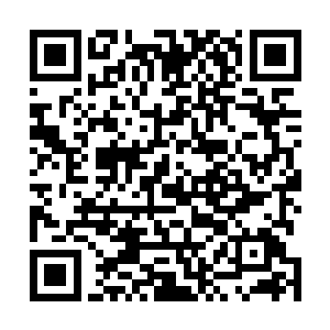 你真的以为你是苏家的小姐我就真的不敢对你怎么样了吗二维码生成