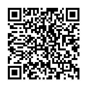 你真的以为你结丹期的修为可以将我化神期修士的护罩冻上二维码生成