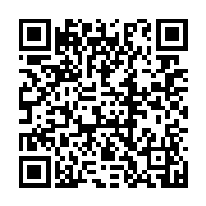 你真讨厌……你……我看老公你才是大傻瓜呢……二维码生成