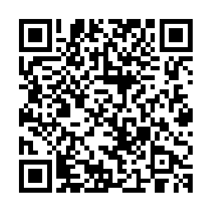 你眼睛所看到的潮汐起伏和万物的生长衰败皆受日月星辰的影响二维码生成