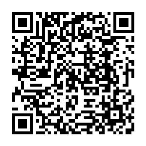 你知道你当时不肯用这个可悲的位置去替换一直在关注着你的成长的哥哥时二维码生成