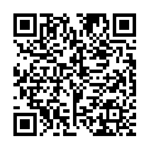 你知道我为什么没有给你一点半点的任务而让你就住在药园里吗二维码生成