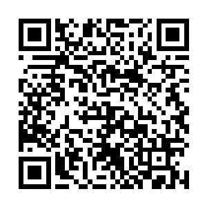 你知道这样的无组织无纪律行为会带来什么样的危害么二维码生成