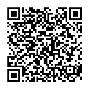 你确信你跟张锋的婚姻是因为爱和感情没有掺杂其他不正常因素吗二维码生成