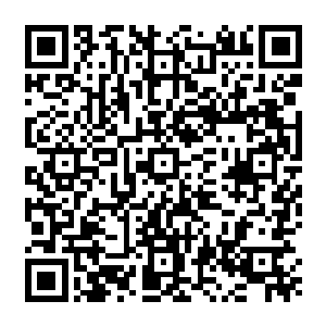 你竟然找得到了我们龙氏家族的老祖…待回到地面我一定要给他老人家多磕几个头…二维码生成
