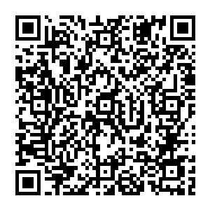 你绝对会为你这样的态度感到后悔的你激怒了热拉坦・伊布拉希莫维奇准备好感受热拉坦的怒火吧二维码生成