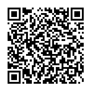 你肯定不会想到苦心安插在我罗浮宫的棋子竟然就这样被人灭杀了吧二维码生成