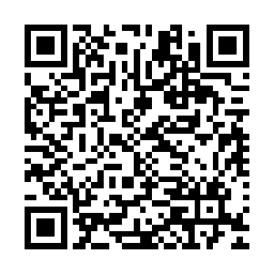 你能告诉我你是怎么在不要脸和严苛的礼记条例中取得平衡的二维码生成
