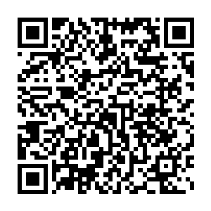 你能用自己的生命去赌他对法律的畏惧思维的正常和子弹再次打偏吗二维码生成