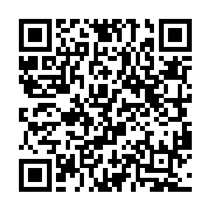 你自然不会是什么北凉处心积虑安插在朝廷里的谍子二维码生成