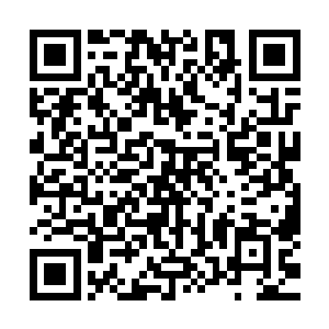 你苏家也不见得敢三番五次的耍我……既然敢打我叶妩的脸面二维码生成
