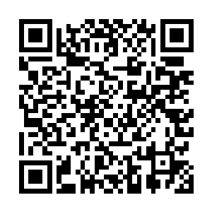 你要以人族的身份在一众龙族和仙兽眼皮子底下参加初选二维码生成