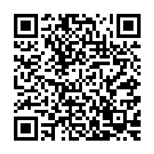 你要是不想继续活下去的话……可以离开药铺不回来试试……二维码生成