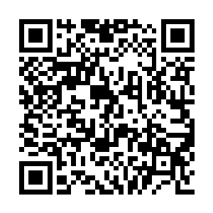 你要是说爷爷偷懒什么的就没有意思了哦小表弟二维码生成