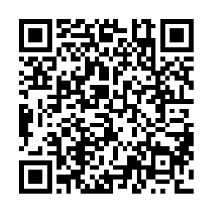 你要真敢和我们一起用餐你家安妮大小姐就真的要发飙了二维码生成