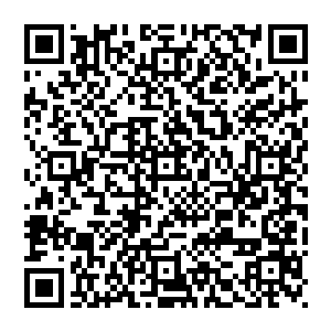 你要知道姜还是老的辣……听母亲的话是没错的……这个废了我们还可以娶下一个……娶了那个孩子你会满意的二维码生成