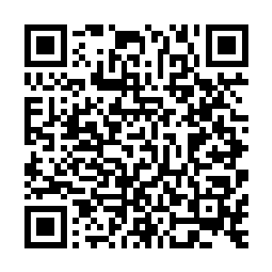 你觉得以我们欧阳家族如今的实力能够抵挡六大家族的进攻吗二维码生成