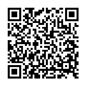 你觉得你的两位兄弟是要带着你的部落走呢还是留下你的部落呢二维码生成