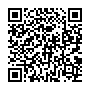 你觉得客户会让自己的支持者代表看到自己豪华到极点的家吗二维码生成