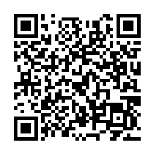 你觉得杨民杨和白逸阳他们的两世还不够惨吗……二维码生成