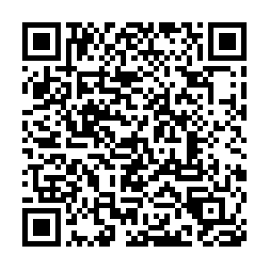你觉得现在去纠结他究竟是不是一年前才开始修炼神文术还有必要么二维码生成