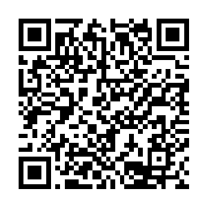 你觉得那个飞行家真的会等马里安全部队抵达之后猜行动么二维码生成
