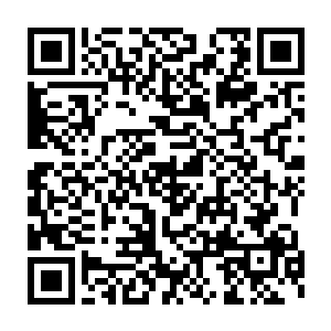 你认为市里面不会调查你在这里面到底扮演了一个什么样的角色吗二维码生成