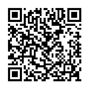 你让小弟如何压服其他几位副盟主和十几位堂主二维码生成