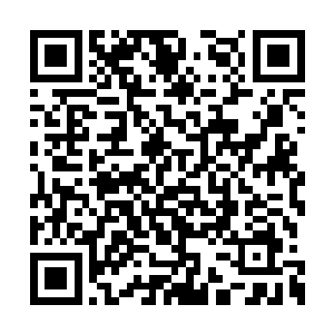 你该不会想要单凭那一张根本没什么用处的书页二维码生成