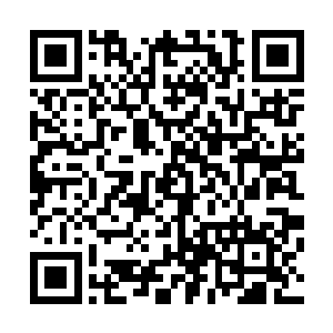 你说万长老为什么会安排咱们来这个毫不起眼的破旧石屋前二维码生成