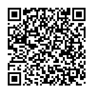 你说如果用其他机械生命的灵魂来代替你作为这机械世界的控制中枢二维码生成