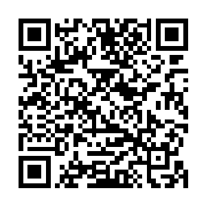 你说我们哪一次回家不是大包小包地买礼物给他们的……二维码生成