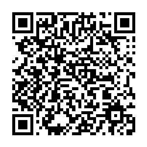 你说是不是上一个住在这里的住客忘记将这些衣服拿走了呀我我试一下衣服二维码生成