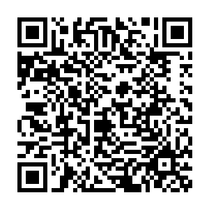 你说桌子上的任务怎么会那么恰巧地就是你今天带我们去见的那些人呢二维码生成
