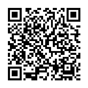你说洪大力他们会不会已经猜出来我不是他们那个世界的人了二维码生成