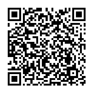 你说现在凌风已经变成我们在诺伽山下遇到的那个长毛僵尸模样了二维码生成