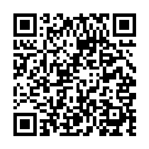 你说要是让佟诗丽和白先生接触多了会不会对我们影响二维码生成