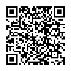 你说话……哈哈……真……真他妈有意思……哈哈……二维码生成