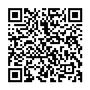 你说那些门派隔三差五的就组织弟子去刷什么大罗金仙层次啊二维码生成