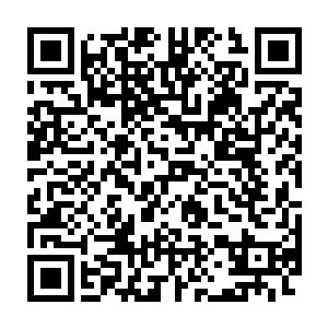 你说麒儿和麟儿他们会不会和那八个先追他们的宗门弟子同归于尽二维码生成