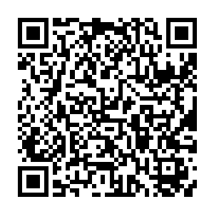 你走之前我还是提醒一下……如果你一会儿在附近的路上看到一辆红色的出租车二维码生成
