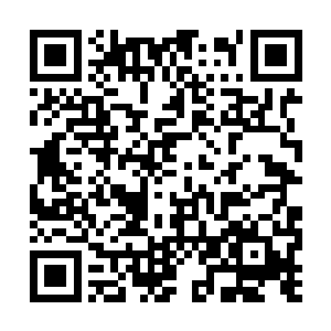 你距离那个位子无非也就是时间和几次选举的问题二维码生成