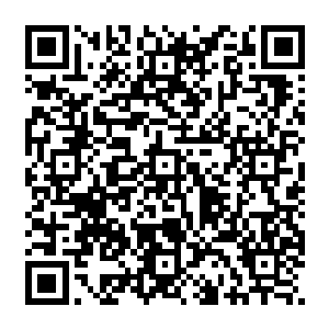 你跟咱们一起出去活动活动呗趁人类还没被怪物灭绝掉……咱也尽力帮人界留下点香火嘛二维码生成